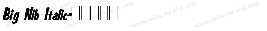 Big Nib Italic字体转换